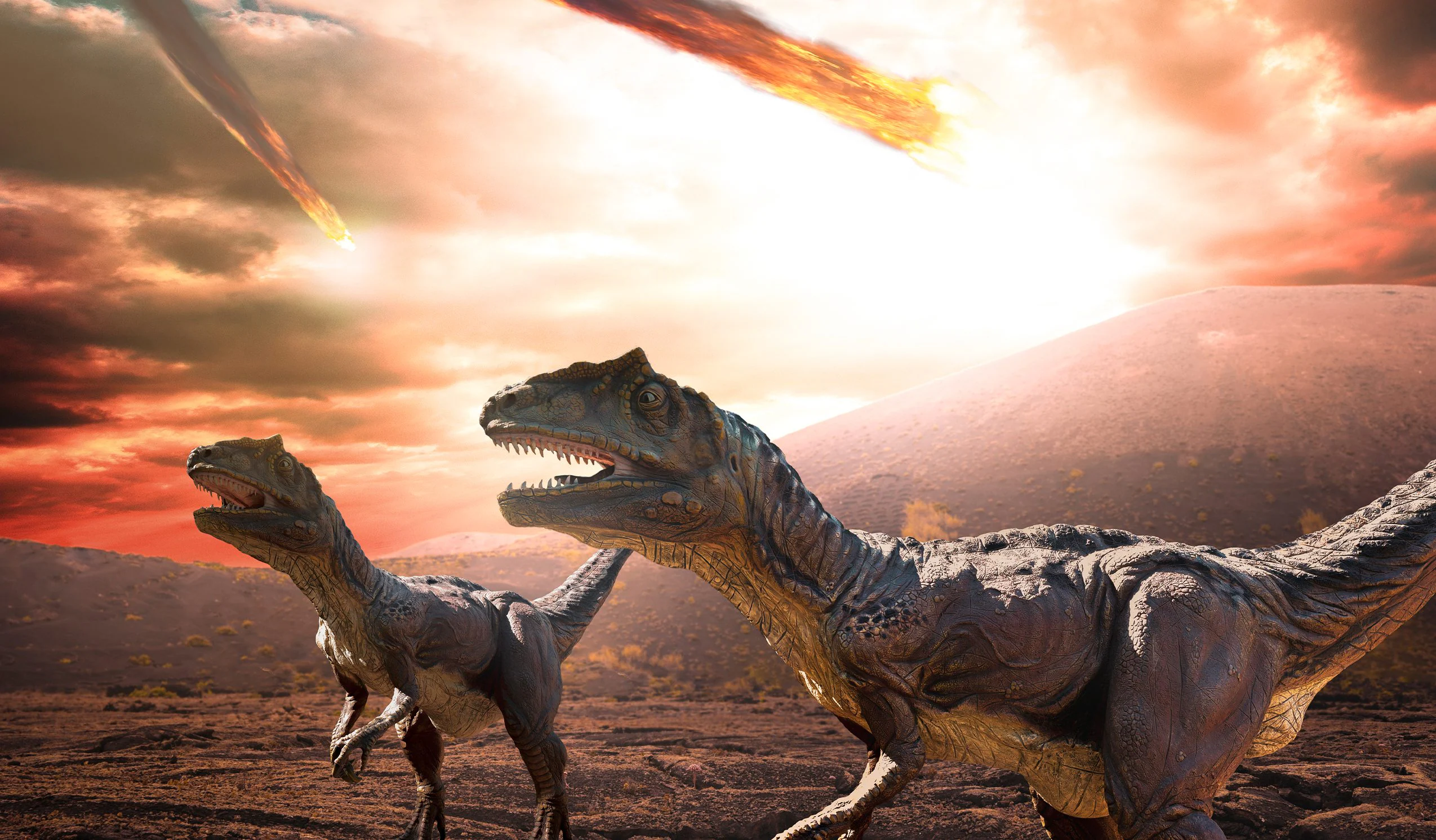 The asteroid that wiped out the dinosaurs and 75% of the species came from beyond Jupiter: a rare chondrite