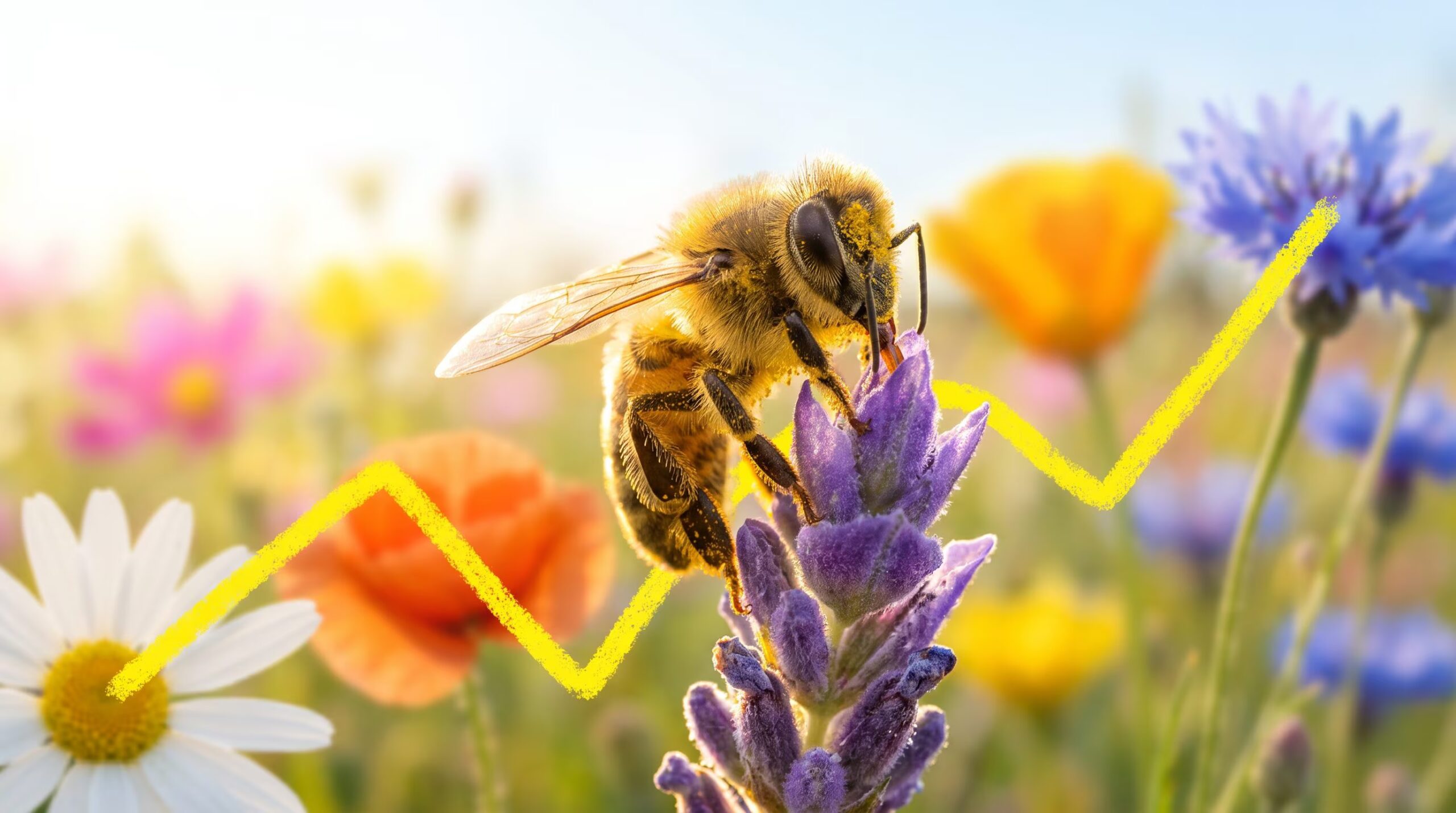 Bees and the Earth's magnetic field: the discovery of the possible internal compass in 74 species