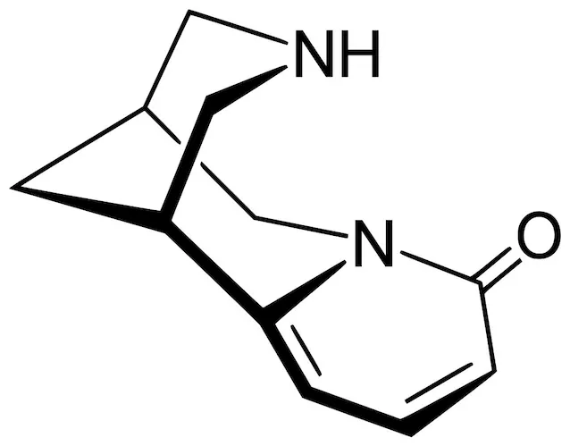 (-)-Cytisine cytisine molecule