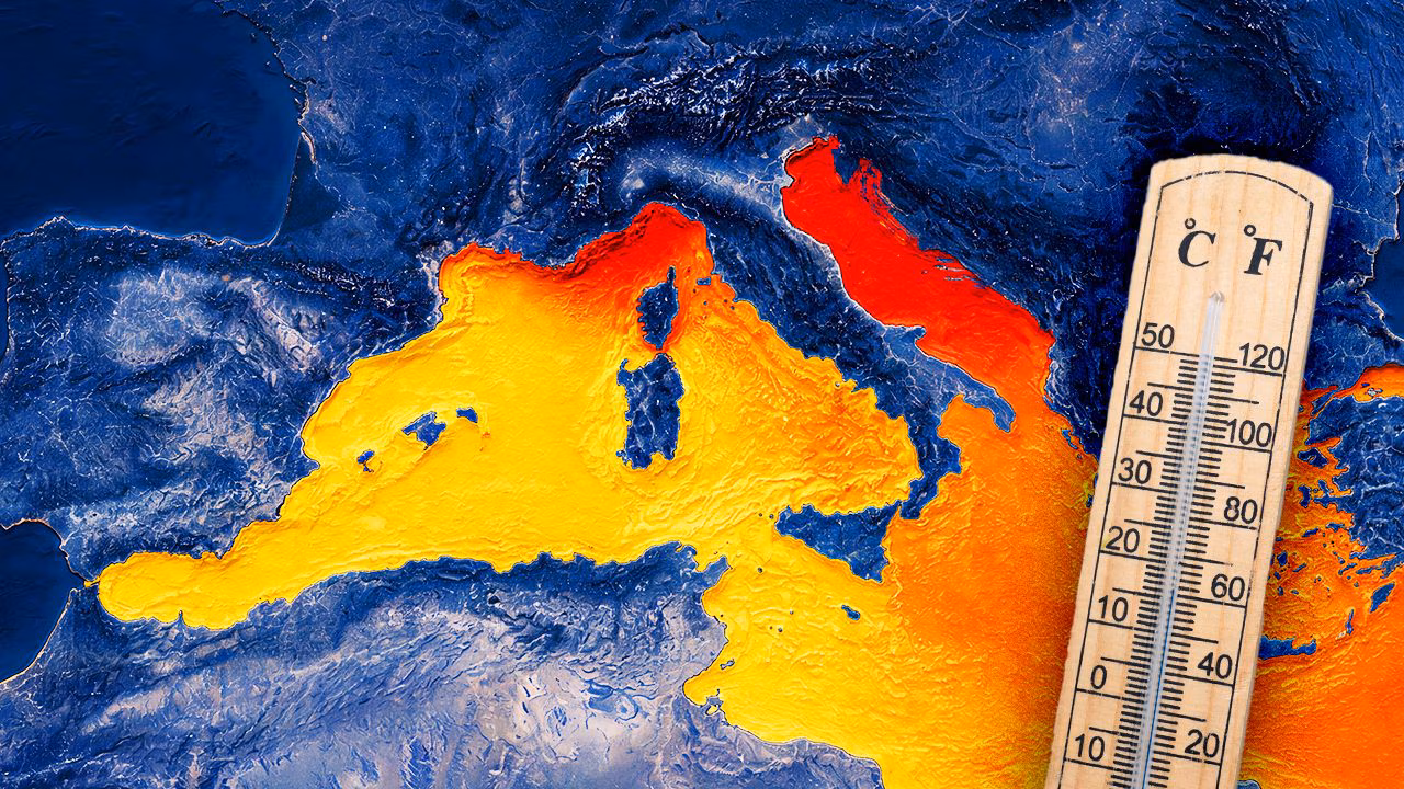The sea in Italy is 1° warmer than 25 years ago: data on Mediterranean temperatures