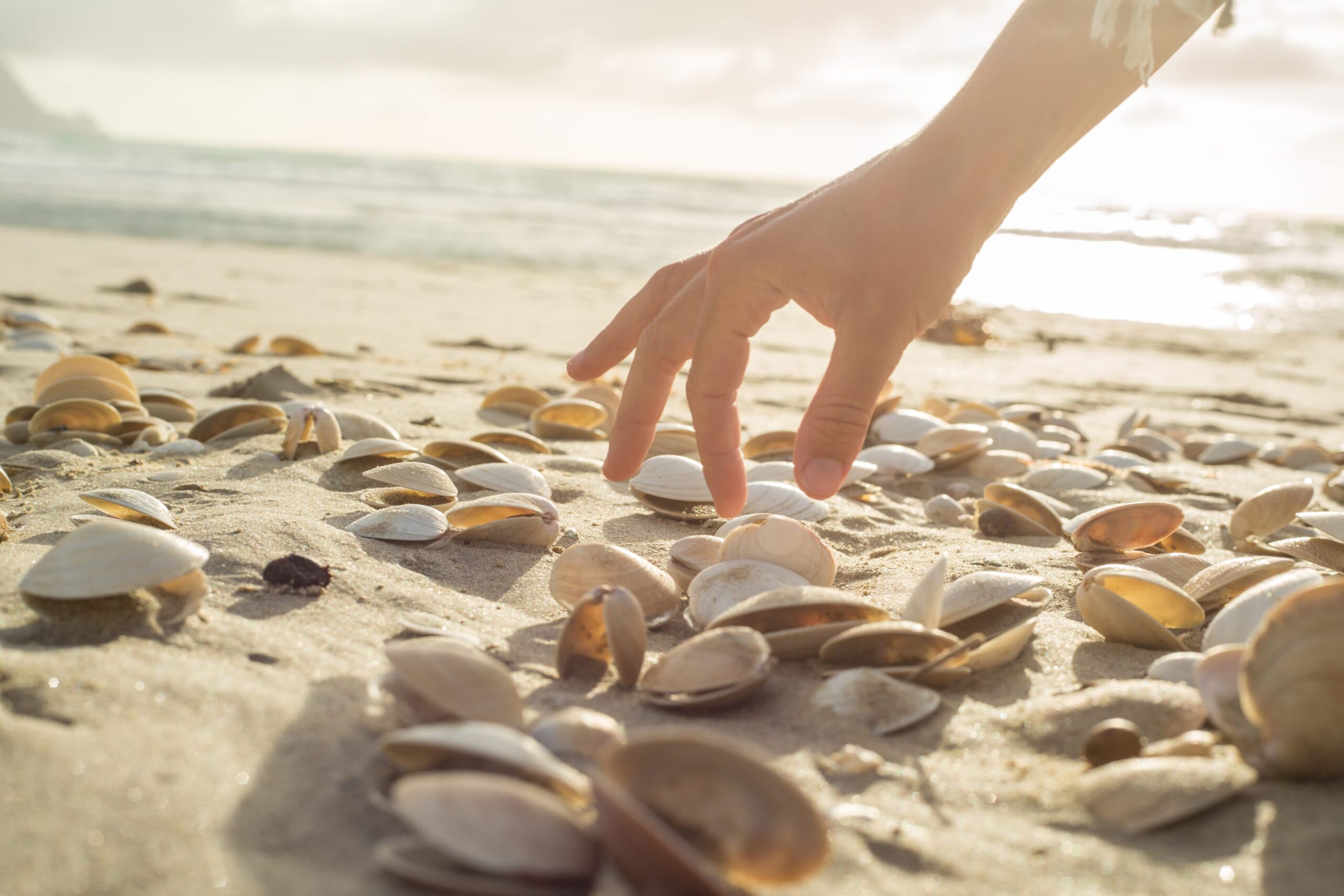 It is illegal to collect sand and shells on the beach: it ruins the ecosystem, fines of up to 9 thousand euros