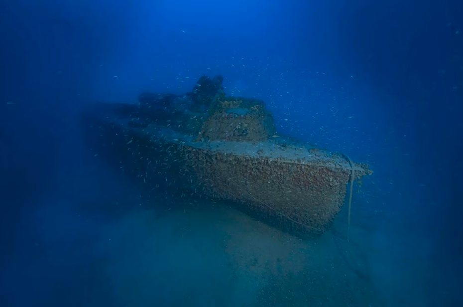 A World War II wreck found at 96m deep after 13 years of research: the 12m long L6