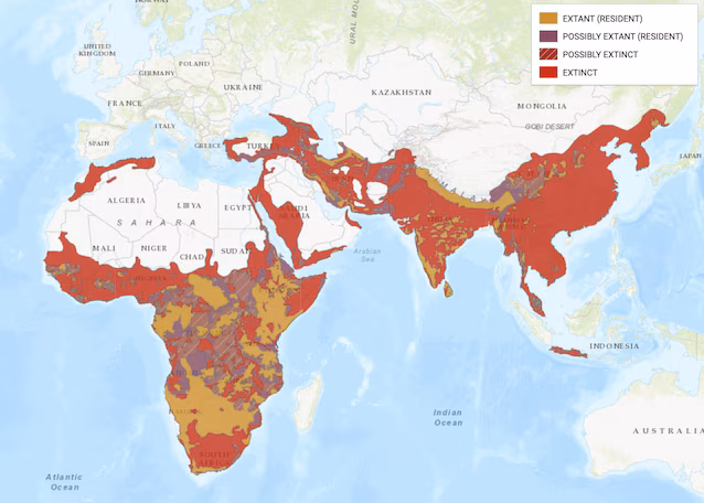 IUCN areal leopard