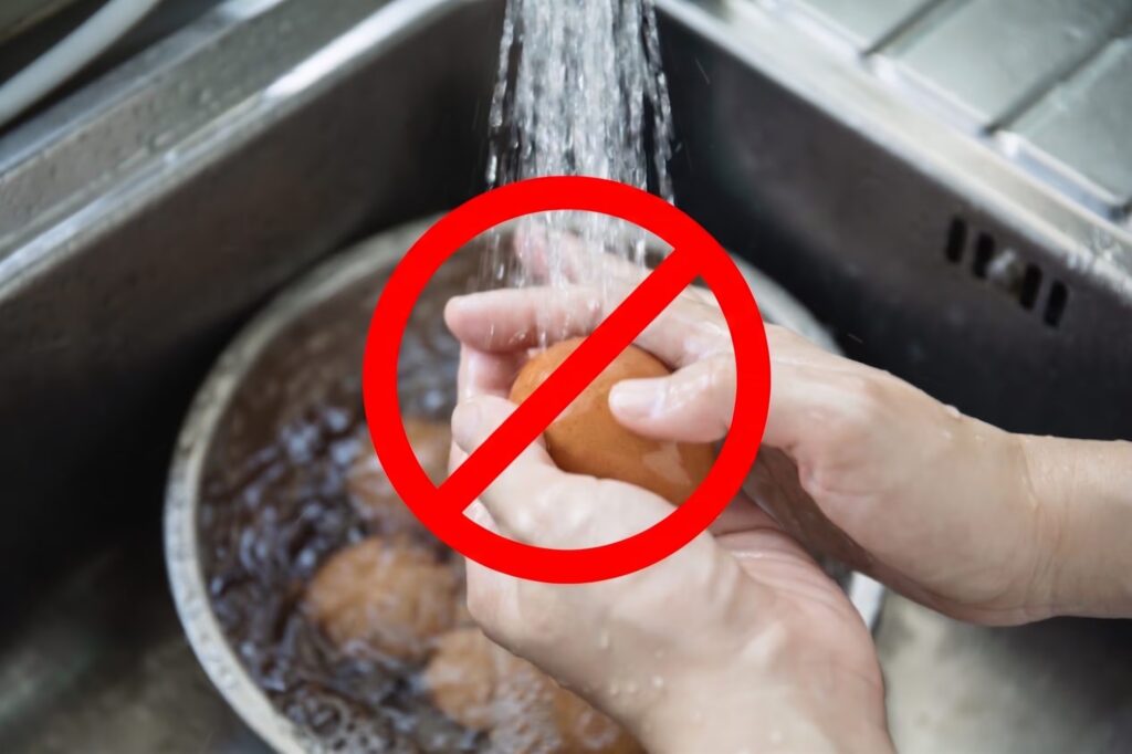 Why eggs should not be washed: it damages the protective cuticle against bacteria, EU legislation