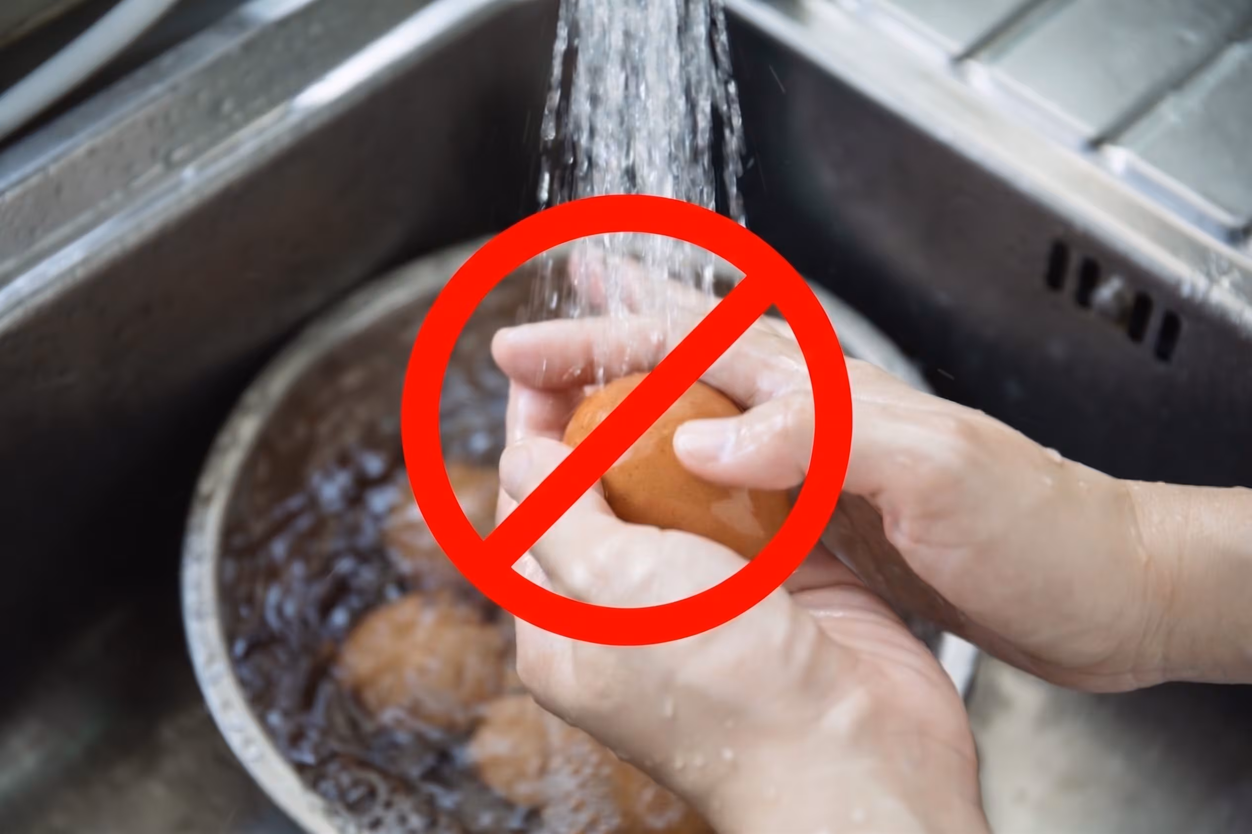 Why eggs should not be washed: it damages the protective cuticle against bacteria, EU legislation