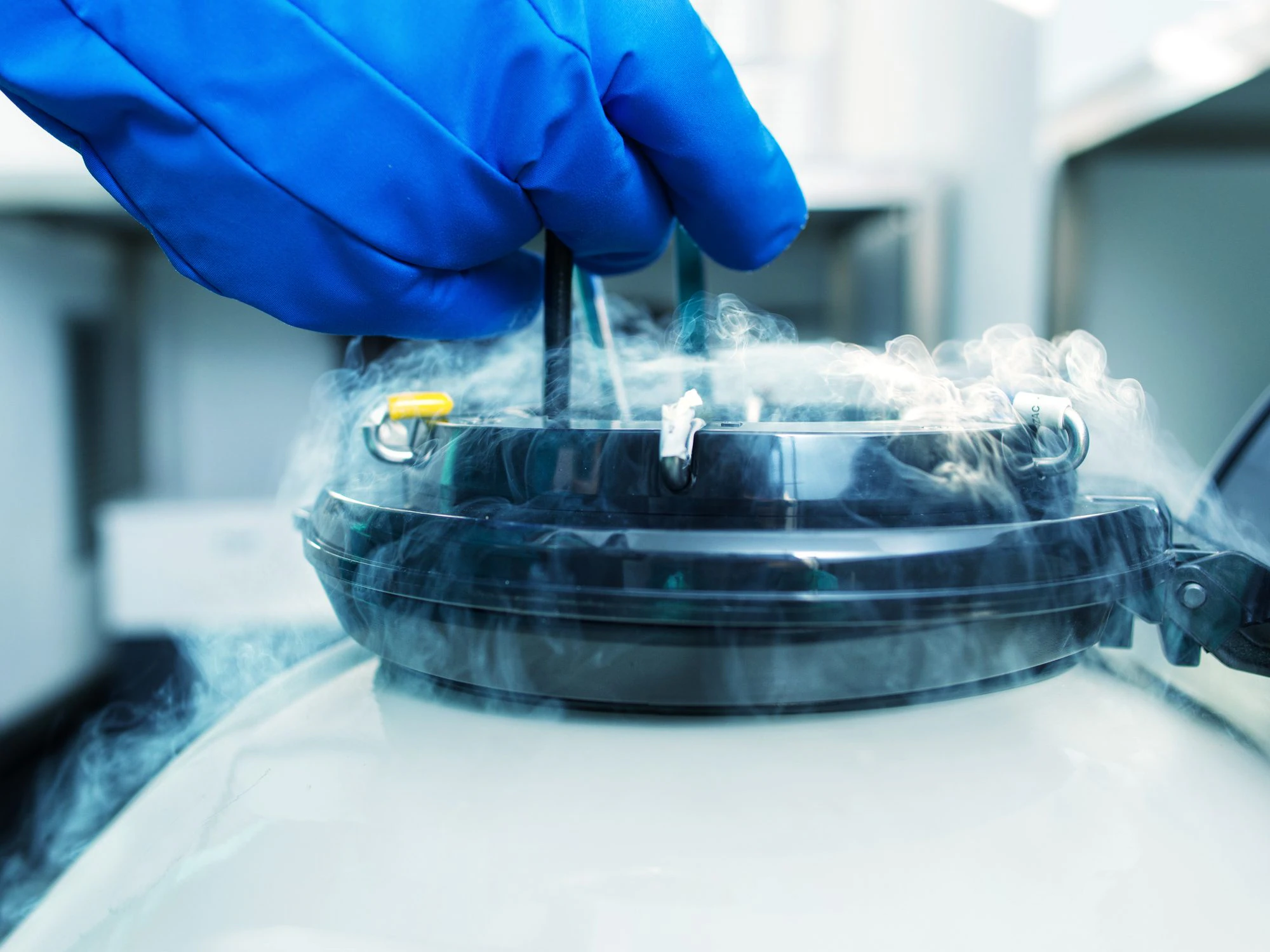 Eggs frozen at -196 °C to preserve fertility over time: how it works and how much it costs in Italy