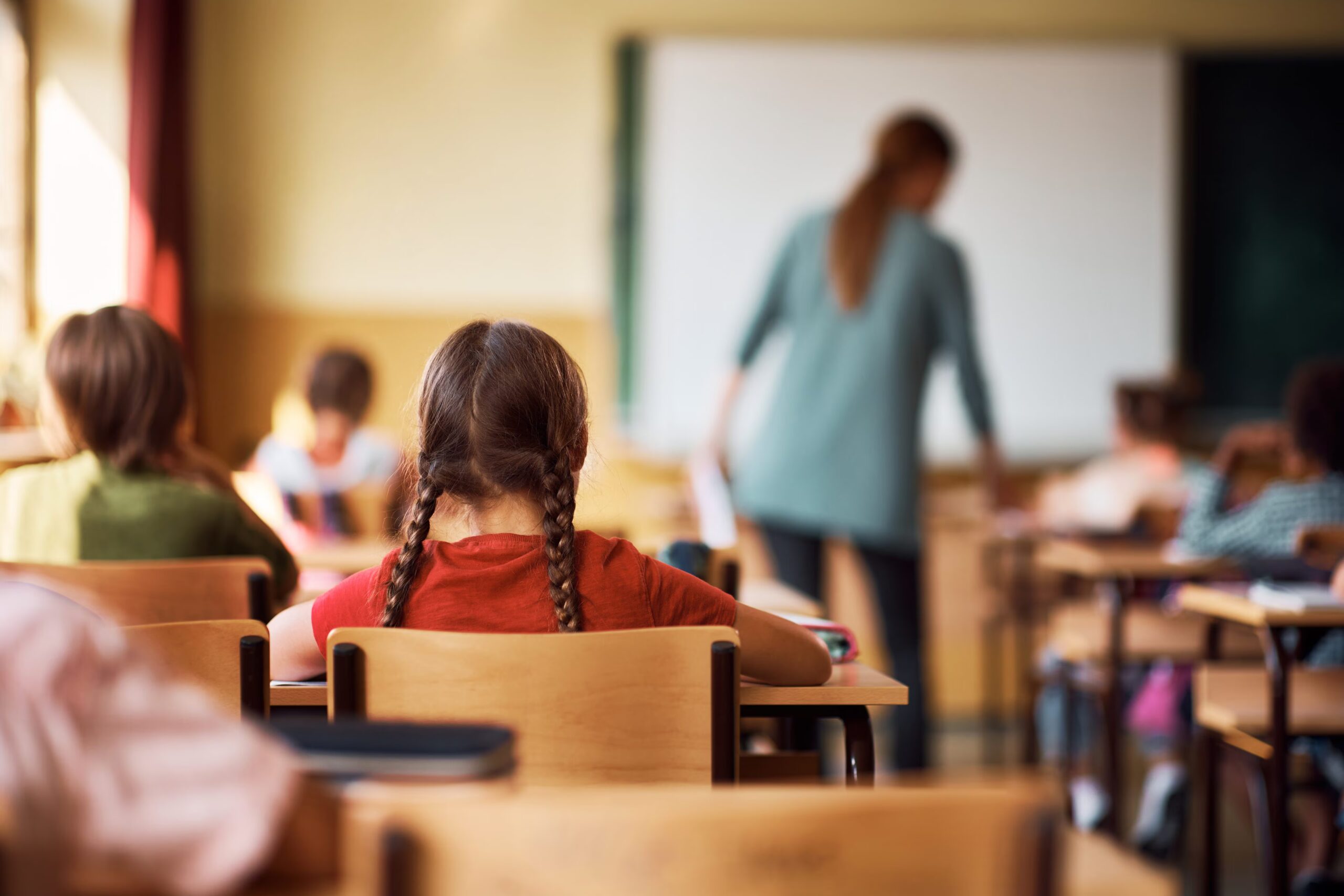 How much it costs to return to school in 2026, 1200 euros on average per student for books and equipment: the data