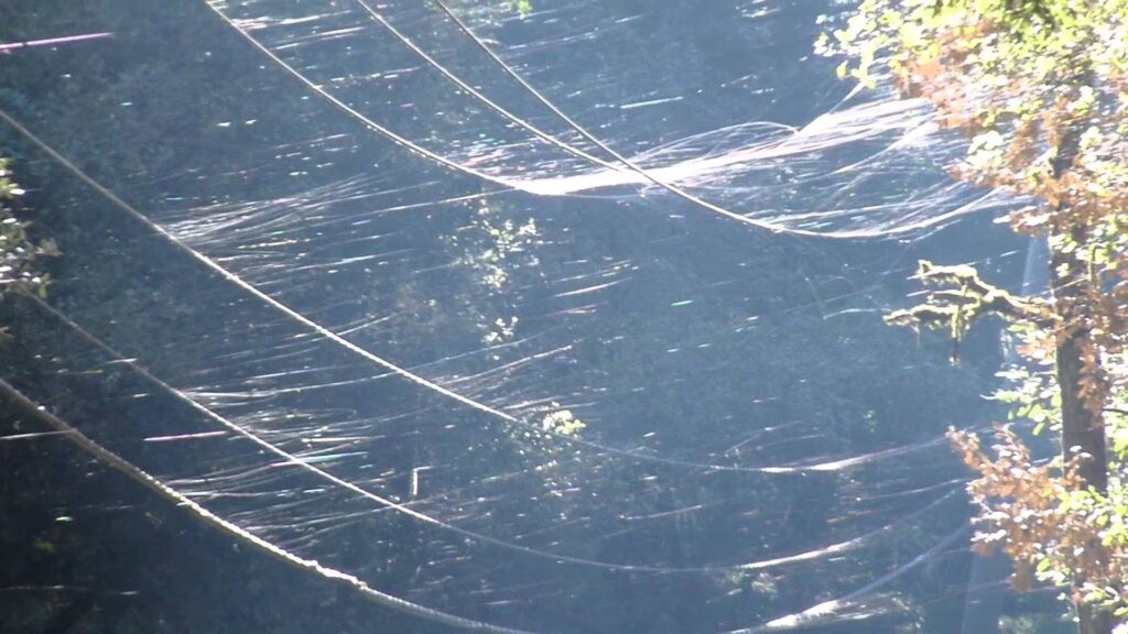 How some spiders can fly for kilometers with just a silk filament: the ballooning technique