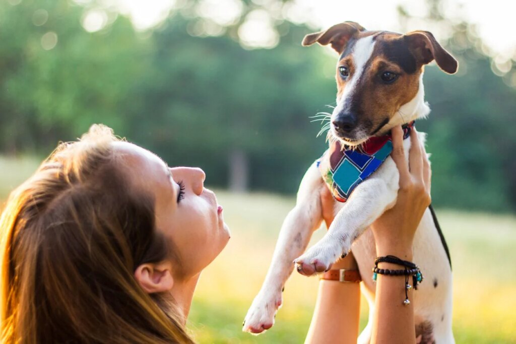 Because we talk to dogs and cats as if they were newborns: the brain perceives them as vulnerable