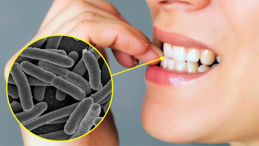 Under the nails there are up to 100 times more bacteria than in the rest of the hand: microbiology studies