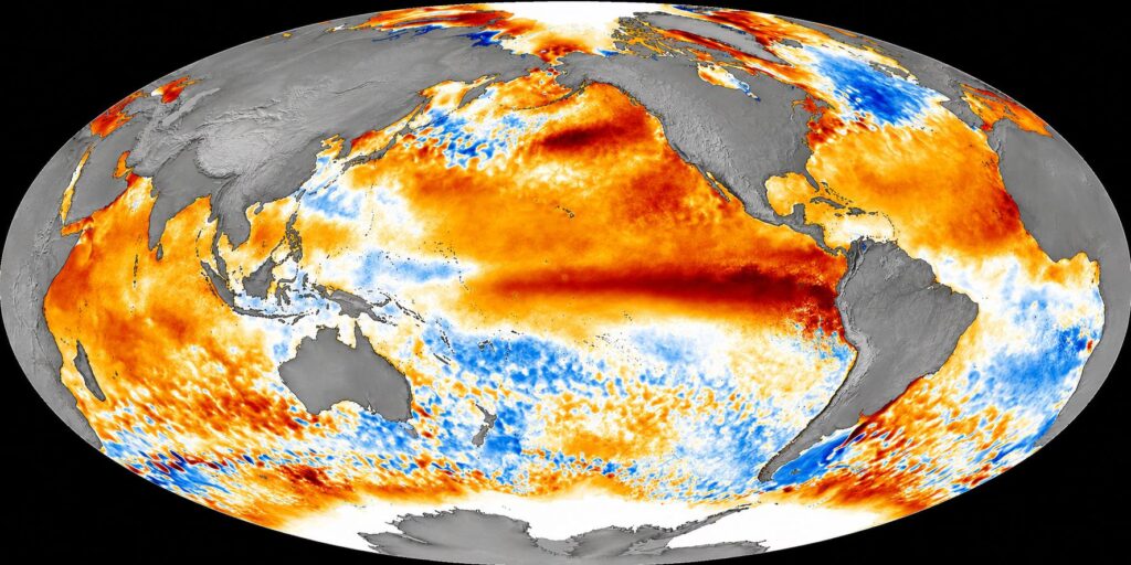 Why El Niño forecasts over Europe are so different: regional factors and probabilistic models