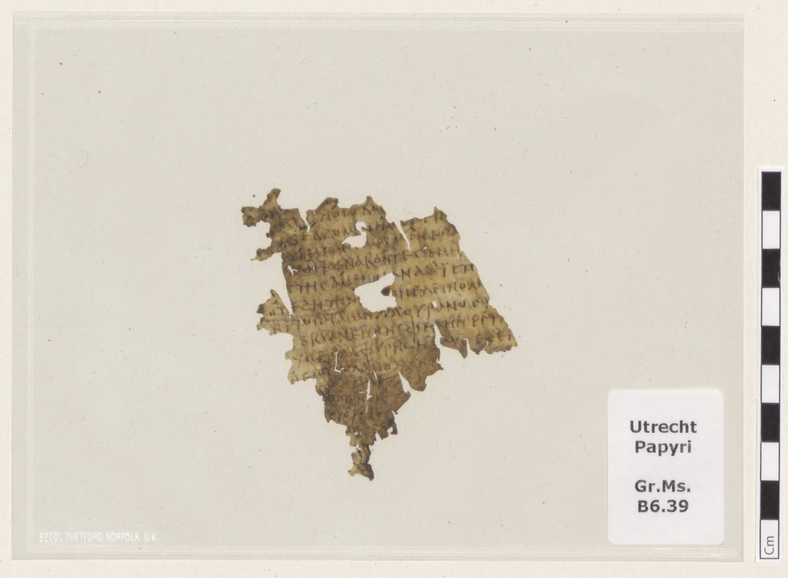 A fragment of the 4th century Odyssey discovered in Utrecht: Helios discovers what Ulysses' fleet did