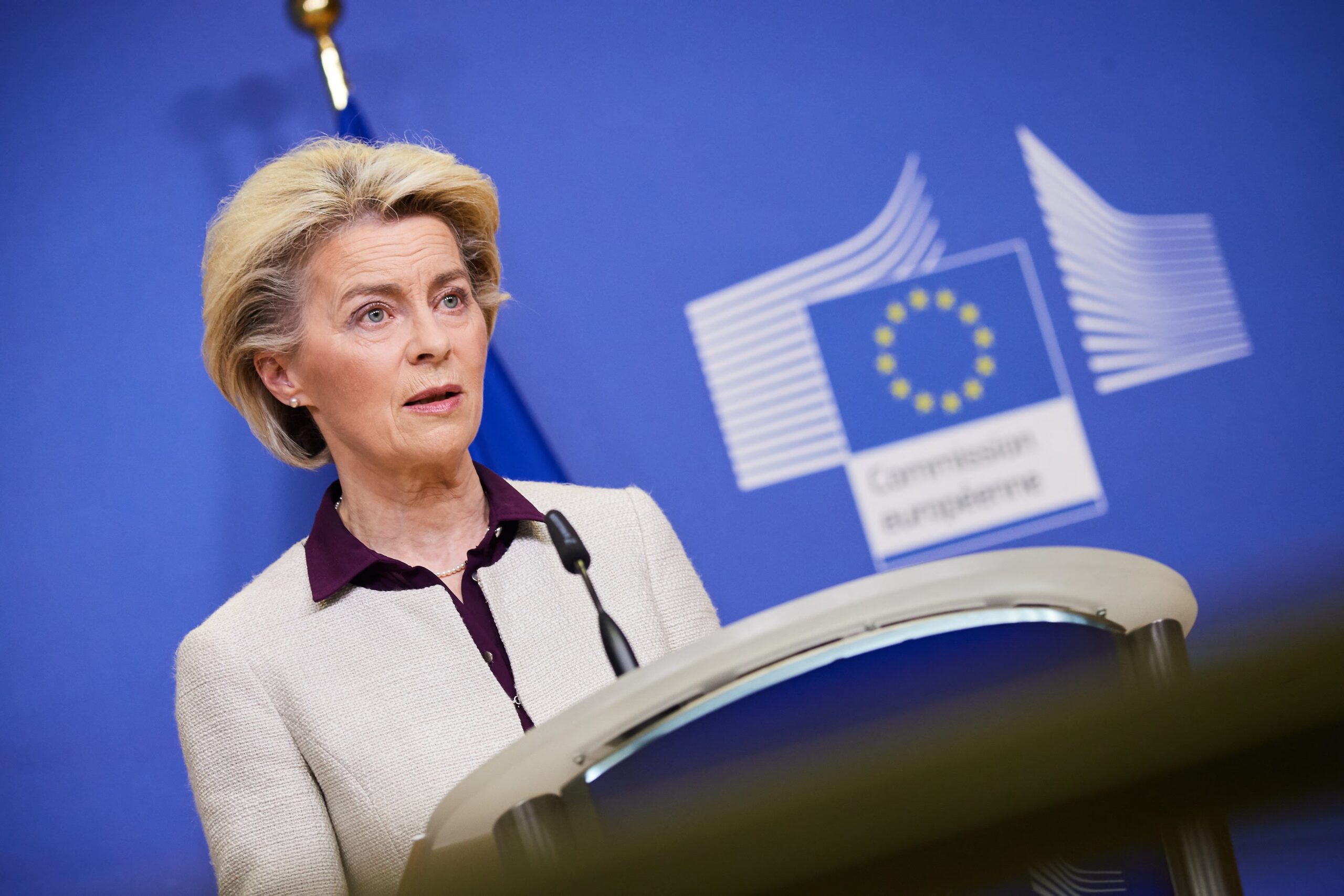 Von der Leyen and Europe's challenges: the EU strategy for energy, defence, AI, climate and social