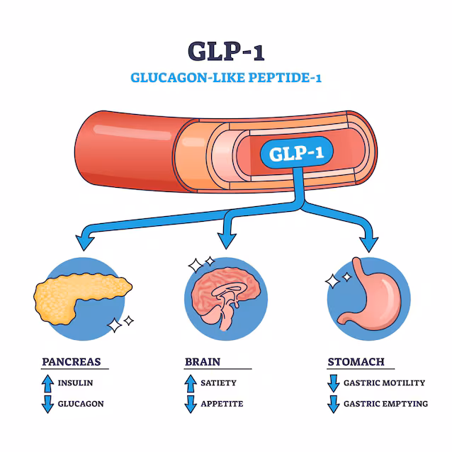 glp-1 actions
