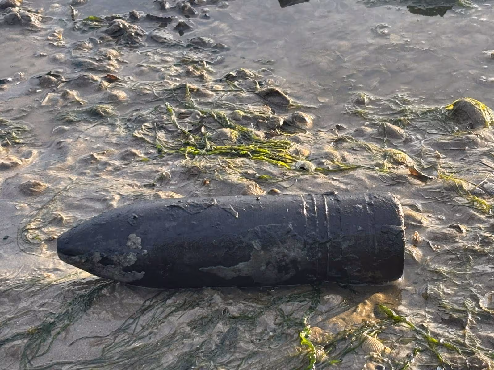 A bullet from the Second World War re-emerges from the sea in England: it is intact and measures 15cm