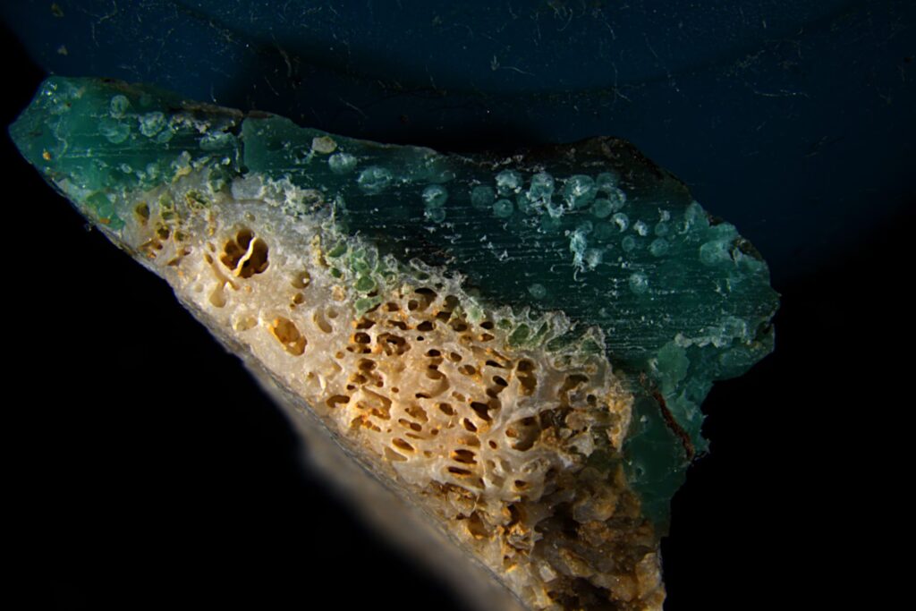 "Plastic corals" discovered on the beaches of Japan: why these strange debris threaten nature