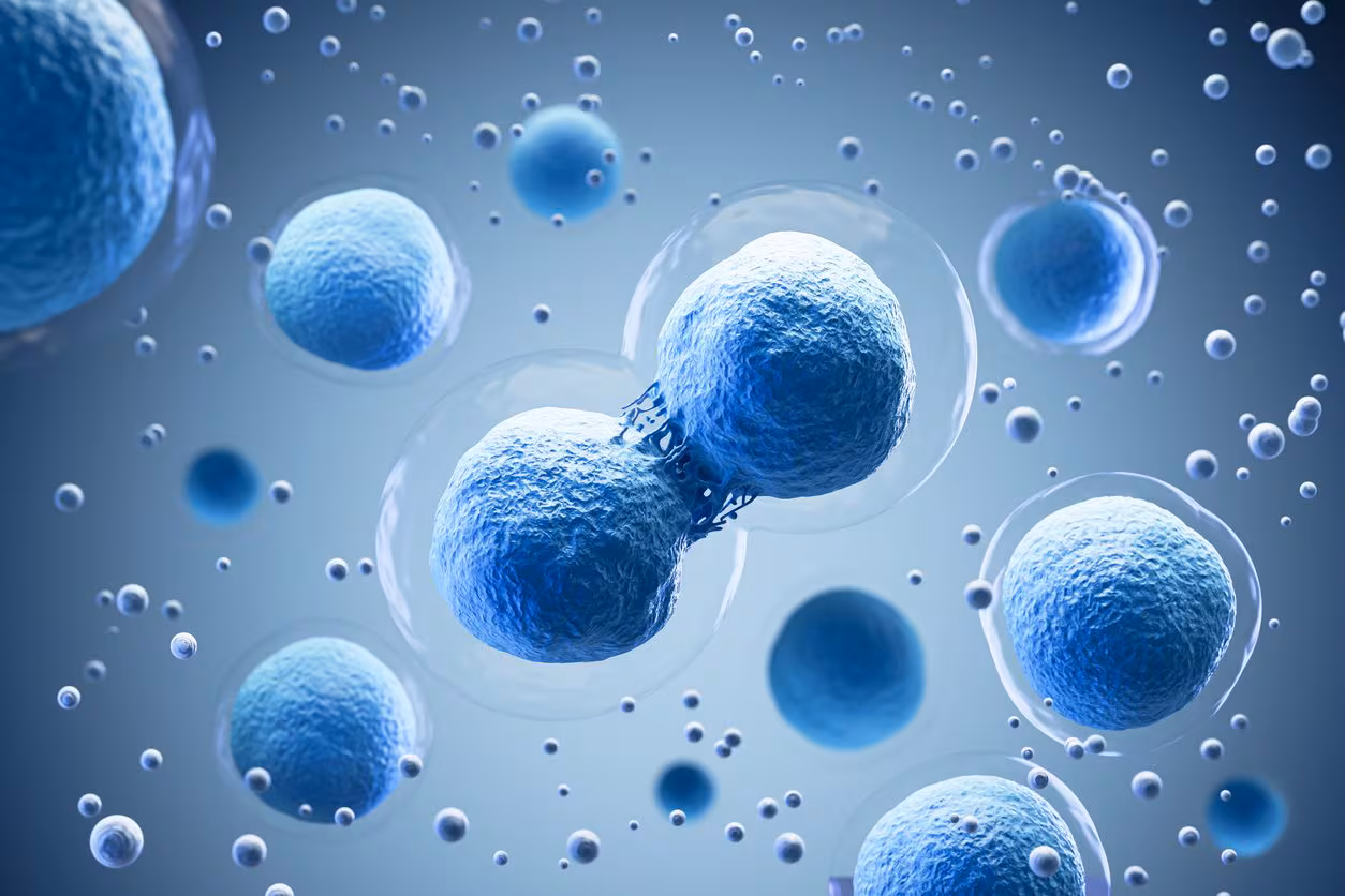 How to map zombie cells without eliminating them: RamanOmics technology that reads aging