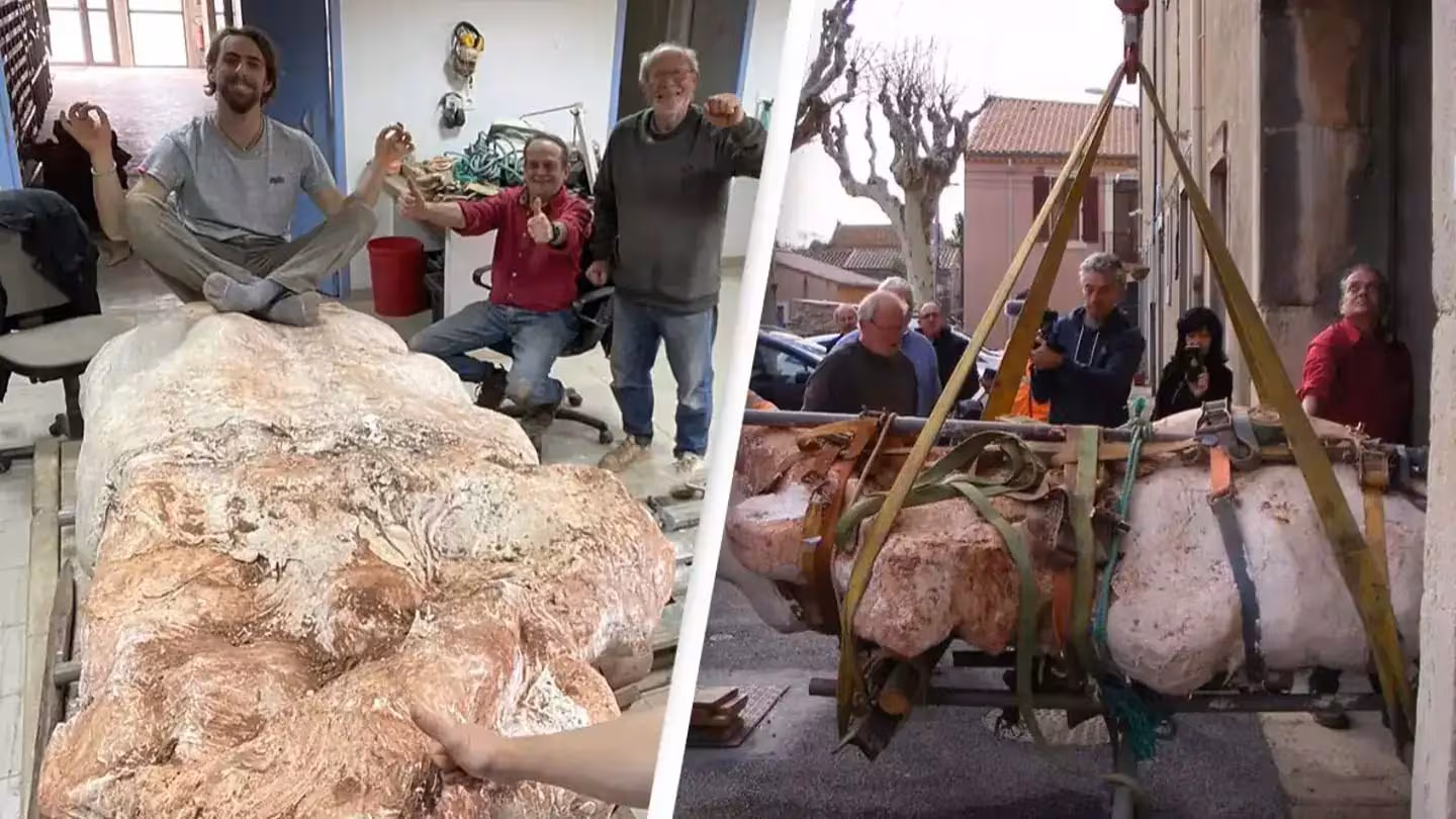 The skeleton of an almost entire fossilized titanosaur, 10 m long, discovered by chance in France