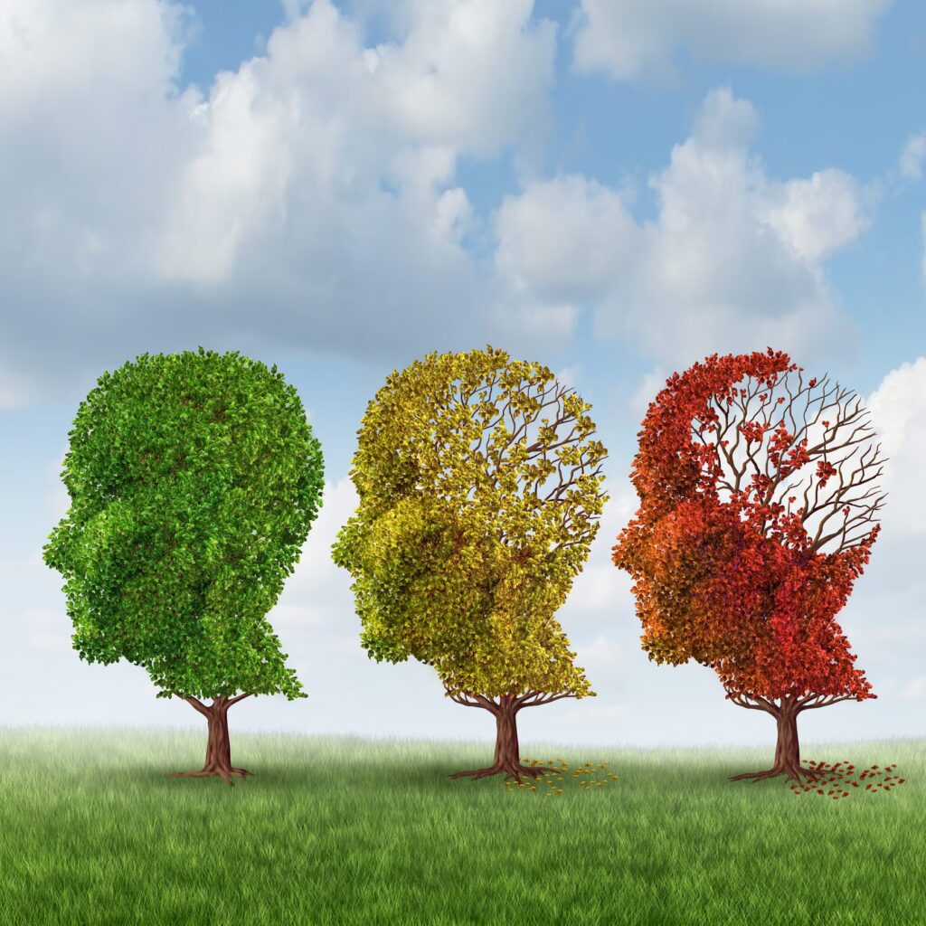 The first molecular map that follows the evolution of neurons with aging: the turning point at 24 years old