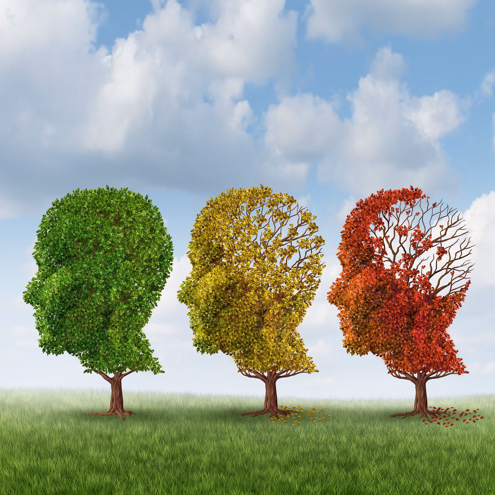 The first molecular map that follows the evolution of neurons with aging: the turning point at 24 years old