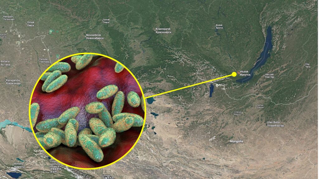 What we know about the alleged case of pneumonic plague in Siberia, where in the world it is and how the infection occurs