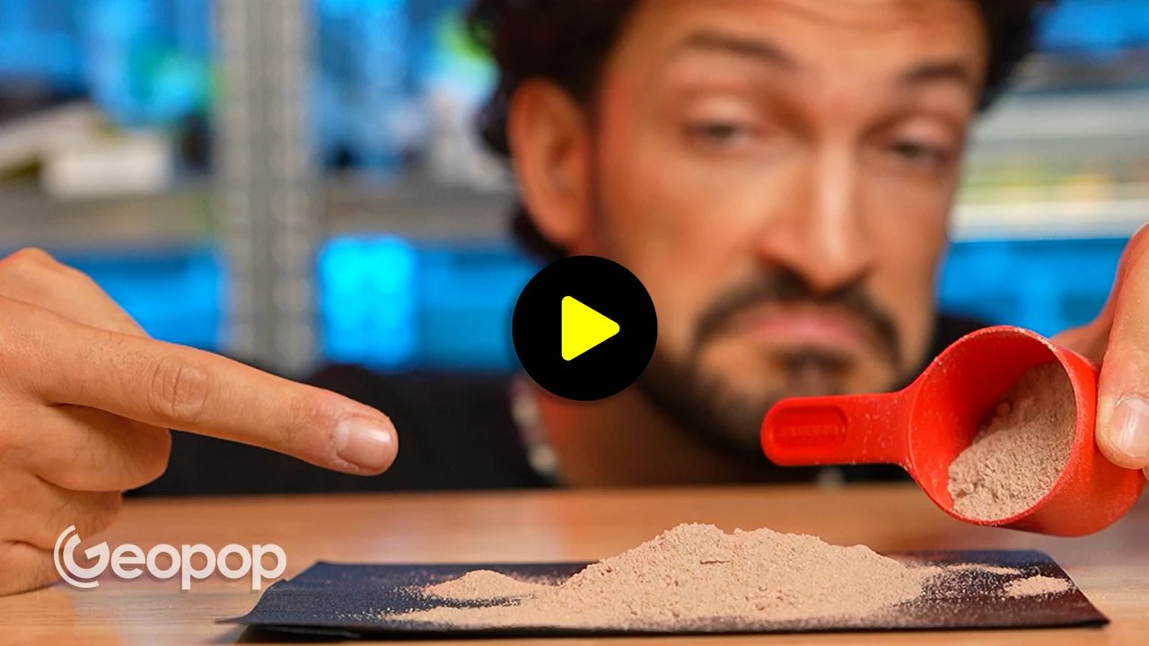 Protein powder, what is it really for? How they are produced and contraindications