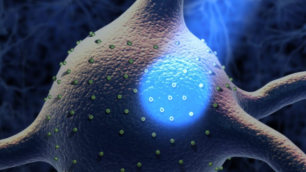 Optogenetics, from the study of algae to the Nobel Prize for Medicine: applications for the retina
