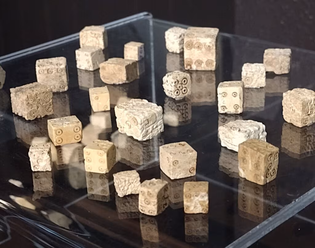Over 1,000 bone gaming dice discovered in France in the Gallo-Roman city of Grand