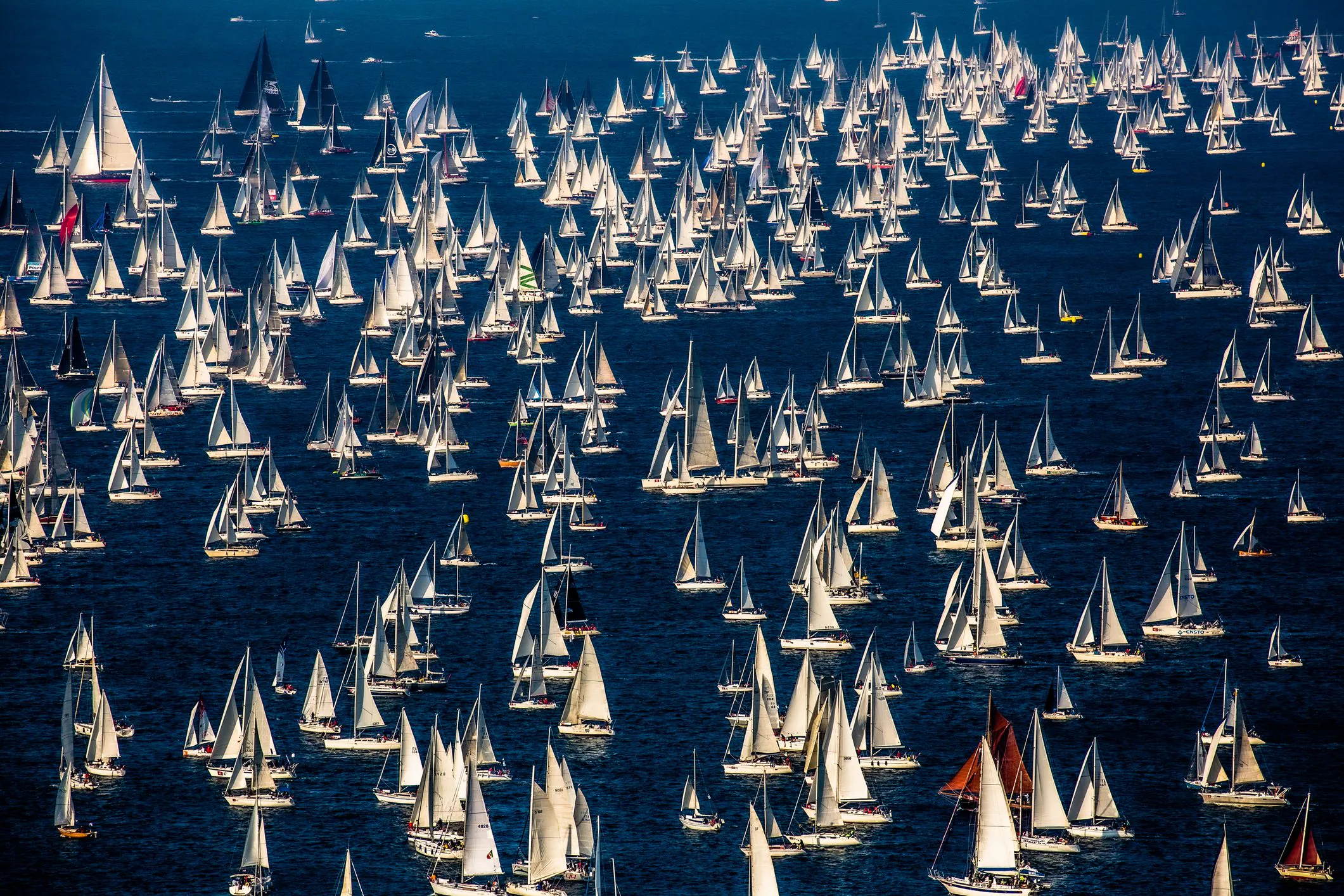 Barcolana 58 in Trieste: the program and how the largest sailing regatta in the world works