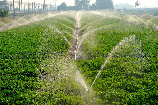 The use of water in agriculture.