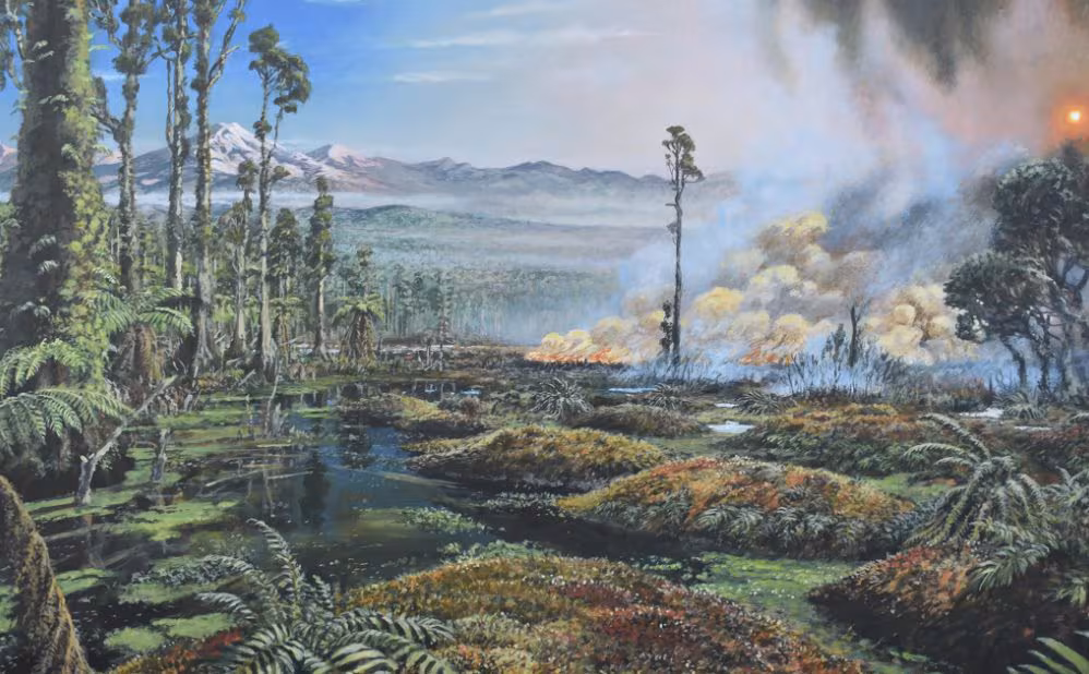 90 million years ago Antarctica was hit by fires: they are the southernmost fires ever documented