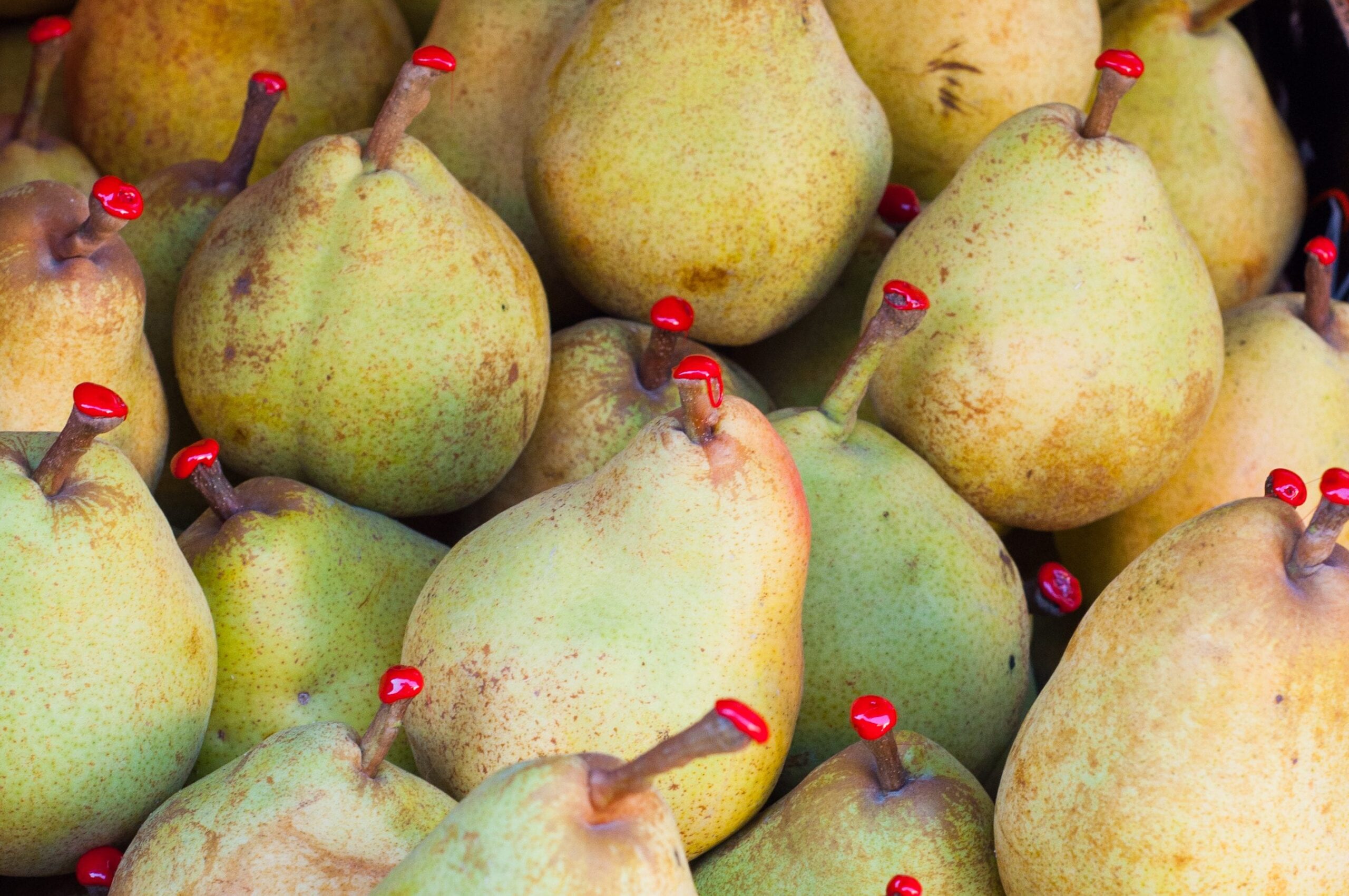 Why pears have sealing wax on the stem: the aesthetic and practical functions for ripening