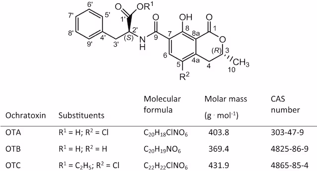ochratoxin ABC chemical structure
