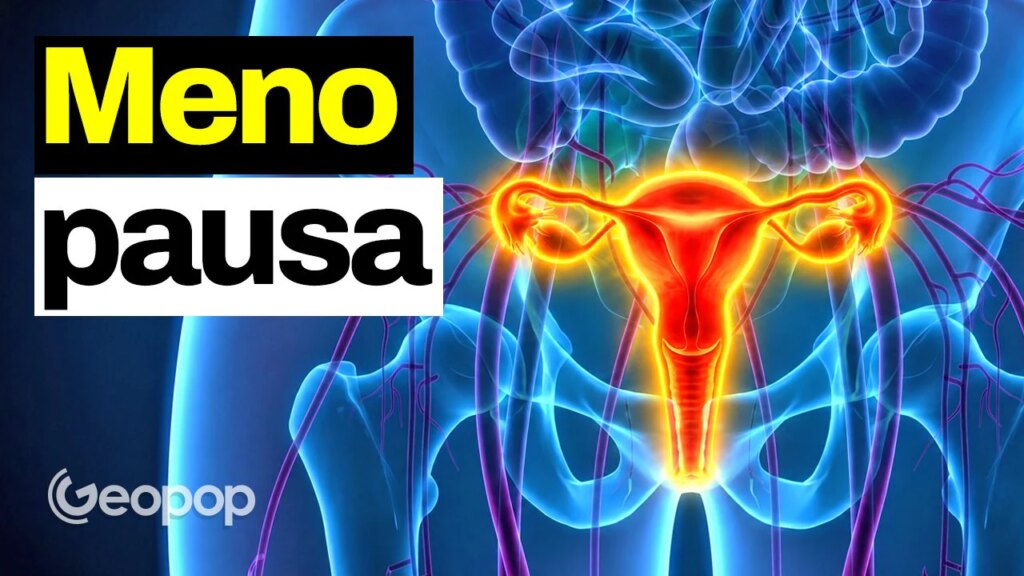 Hot flashes, insomnia, anxiety: what really happens to the body in menopause