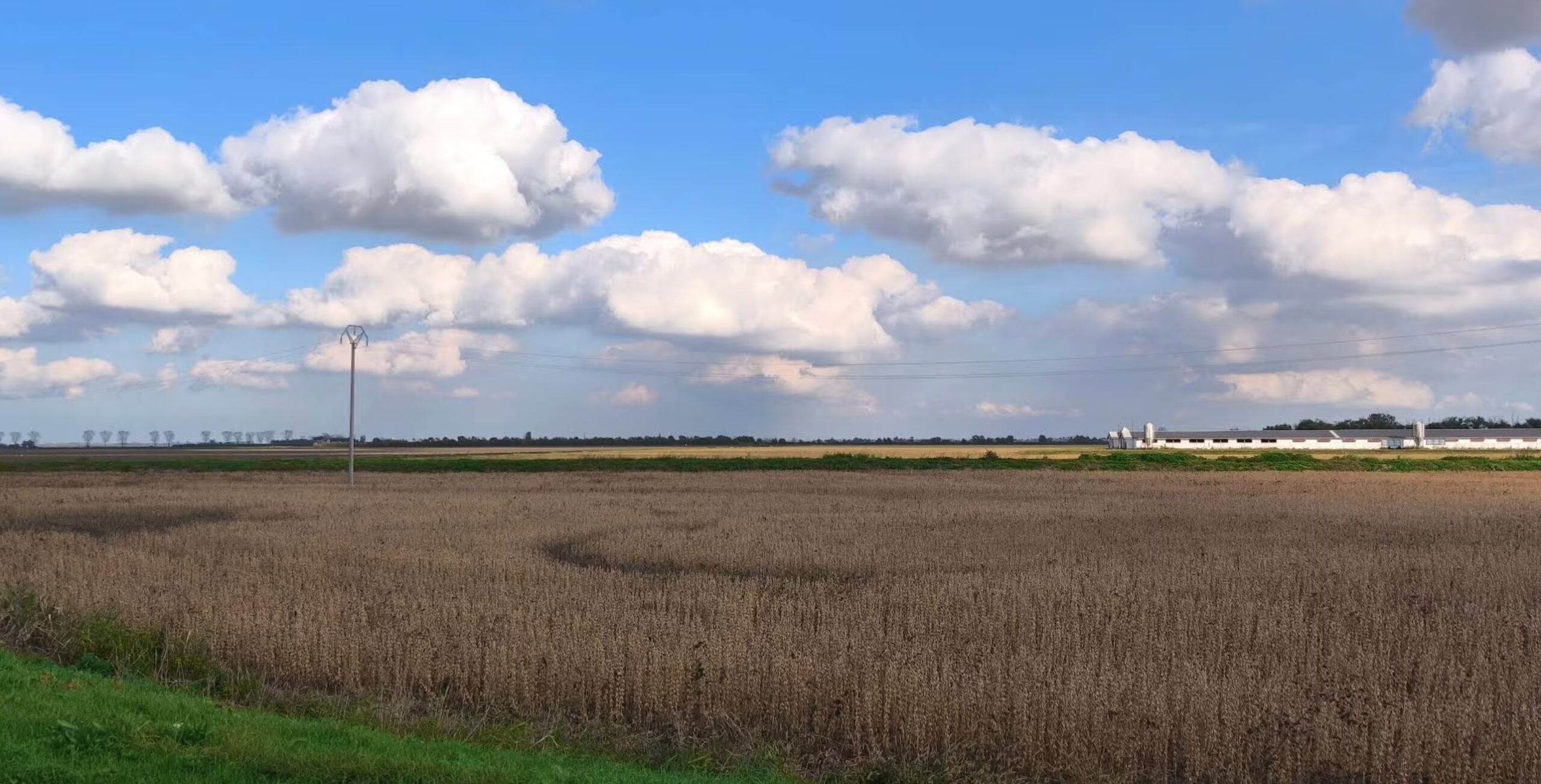 The lowest point in Italy is located at 3.44 m below sea level and is in Emilia Romagna