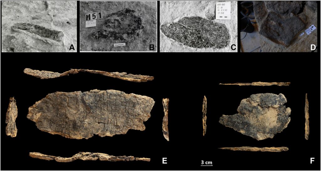 600 traces of Neanderthal wooden tools from 60,000 years ago discovered: what they reveal