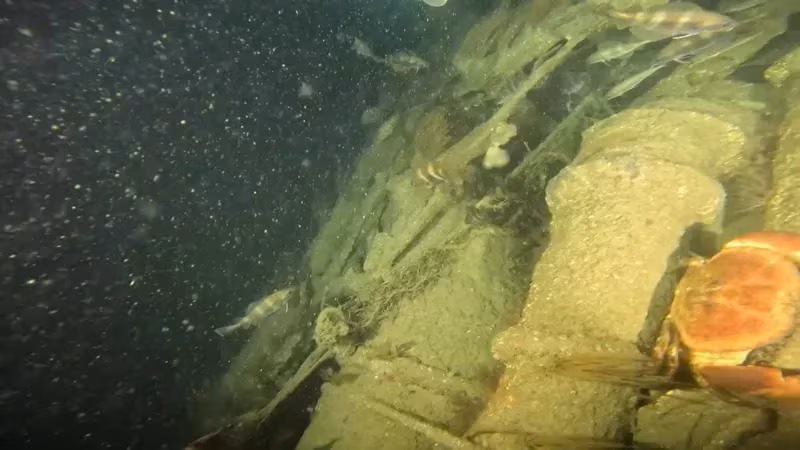 German submarine U-672 found off the coast of Devon after 82 years: World War II era