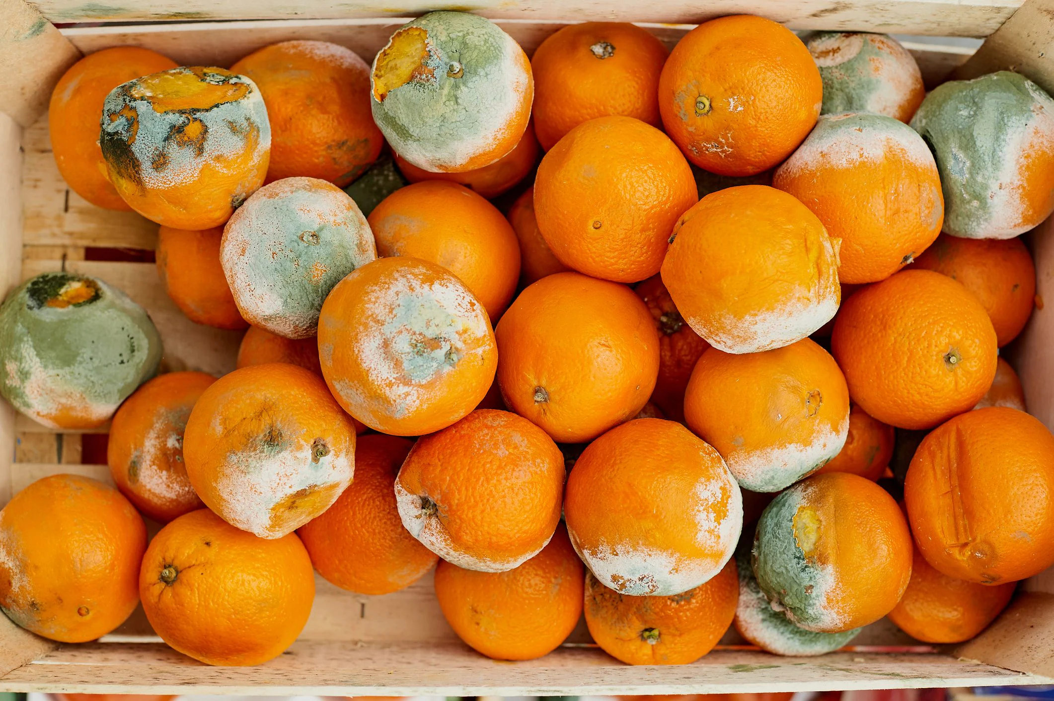 Because some foods with mold can be eaten and others must be thrown away