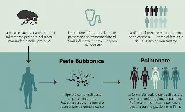 plague scheme